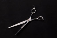 Bravo Straight Shear with Teeth Length: 7.25"