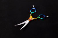 Minuet Rainbow Curve Shear (S) (Length: 6")